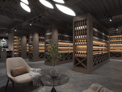 Modern Wine Cellar Wine Room