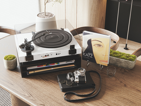 Modern record player camera