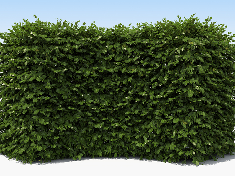 Modern Fence Shrub Free