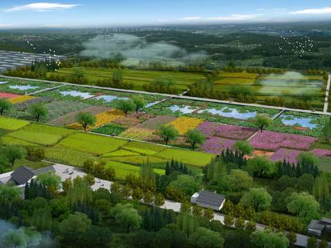 modern rural wetland vegetable garden bird's eye view psd