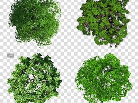 modern classic flat plant landscape psd