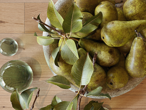 Modern Pear Fruit