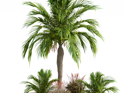 Modern Tropical Tree Free