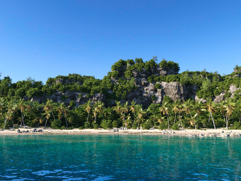 Beach landscape coconut tree landscape stone