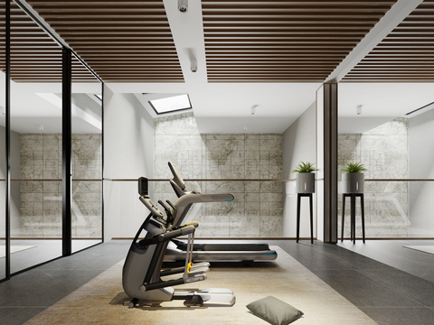 Modern Gym