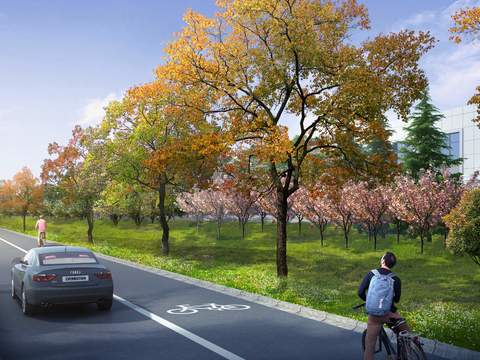 urban road green belt single lane psd