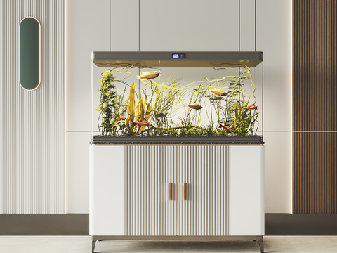 Modern fish tank aquarium