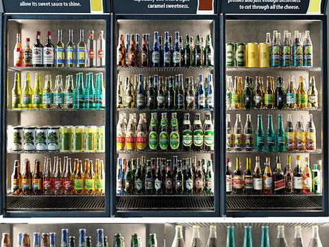 Modern Beer Refrigerator