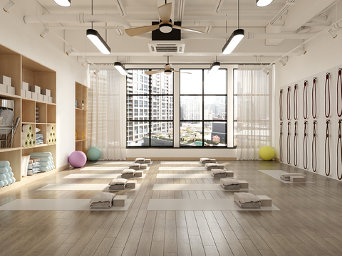 Modern Yoga Gym