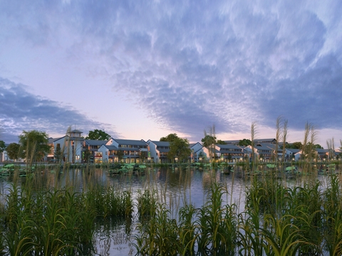 Landscape of Modern Lake Wetland Park