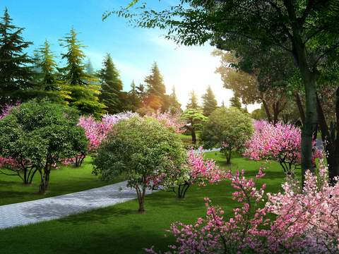 Peach Blossom Park Landscape psd