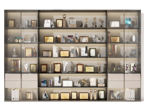 Modern Certificate of Merit, Trophy, Certificate of Honor, Medal Display Cabinet