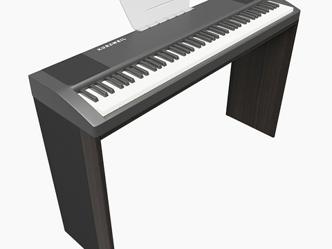 modern electronic organ