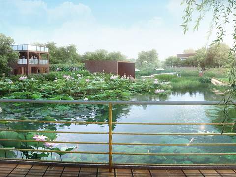 Modern Wetland Park Lotus Garden psd