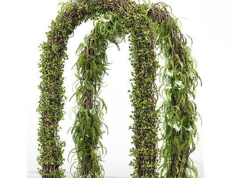 Nordic Simple Green Rattan Arch Free