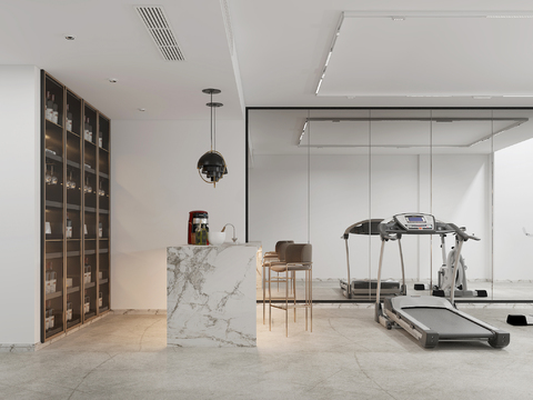 Modern Fitness and Recreation Room