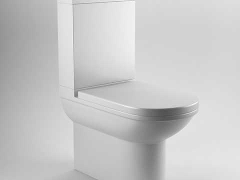 Modern toilet free