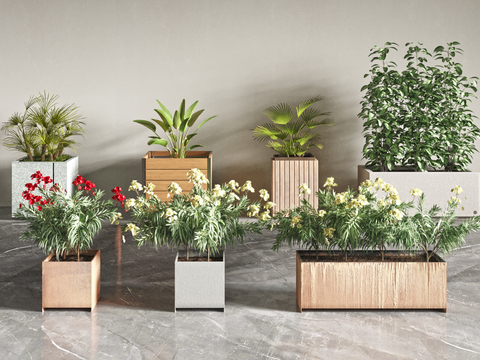 Potted Bonsai Flower Box