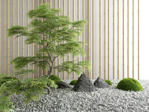 New Chinese garden rockery plant sketch