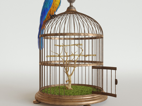 Modern Metal Parrot Birdcage