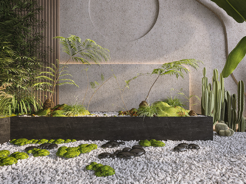 Modern Fern Gardening