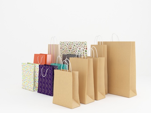 Modern shopping bag combination