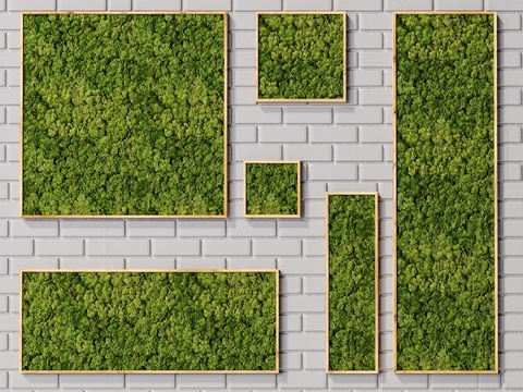 Modern moss plant wall