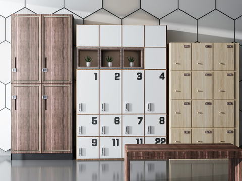 Modern solid wood bath locker combination