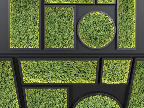 Modern moss green plant wall