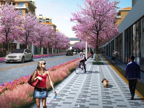 flower tree street landscape psd