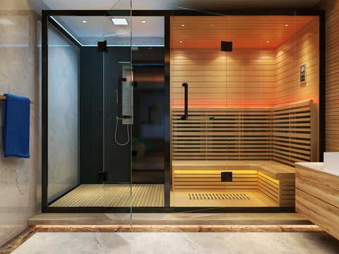 Modern toilet sauna room