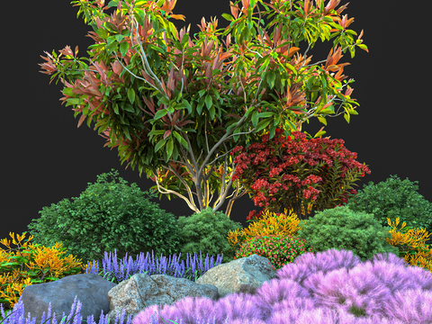 Modern bush plants