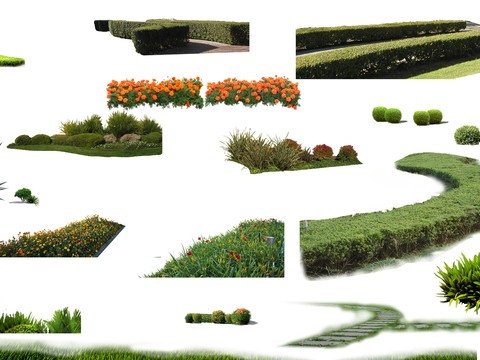 bushes flowerbed shrub psd