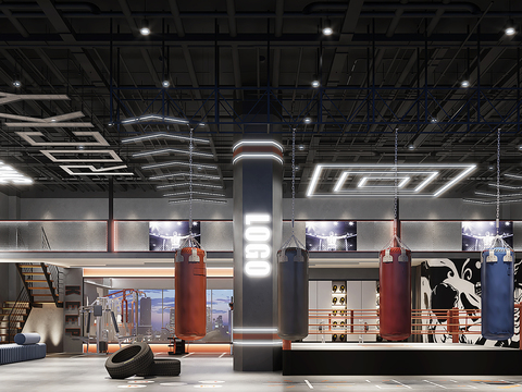 Modern Fight Hall Gym