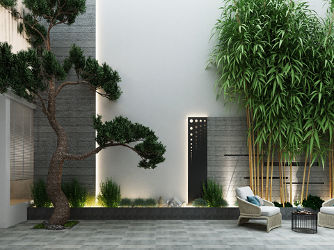 Modern Courtyard Garden