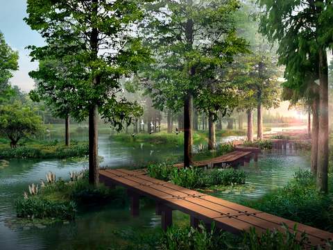 modern wetland bridge landscape psd