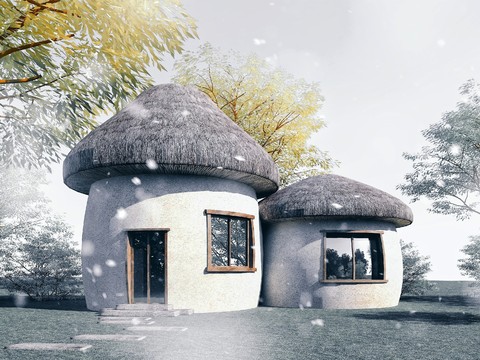 Natural Wind Mushroom House Homestay Appearance