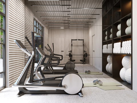 Modern minimalist gym