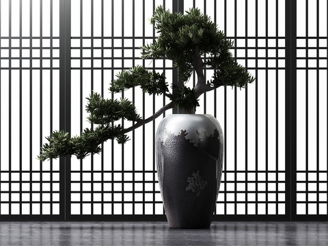 New Chinese Pine Pot