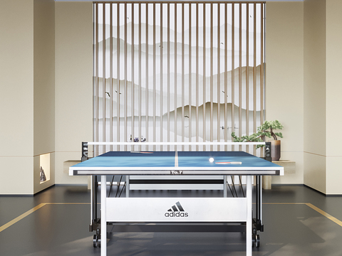 Modern table tennis room