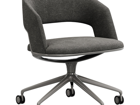 Flexform office chair Lounge Chair