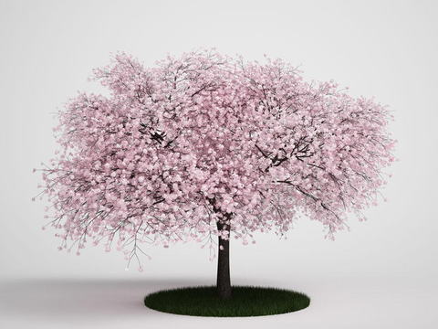 Modern Cherry Tree Free