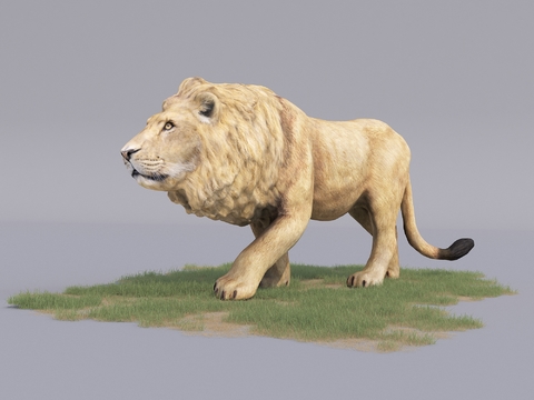 modern animal lion