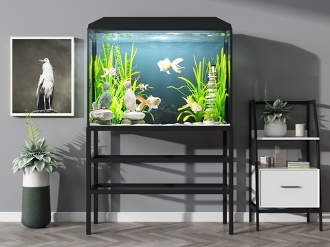 Modern aquarium aquarium combination