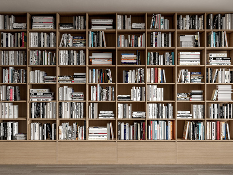 Bookcase Bookshelf Books