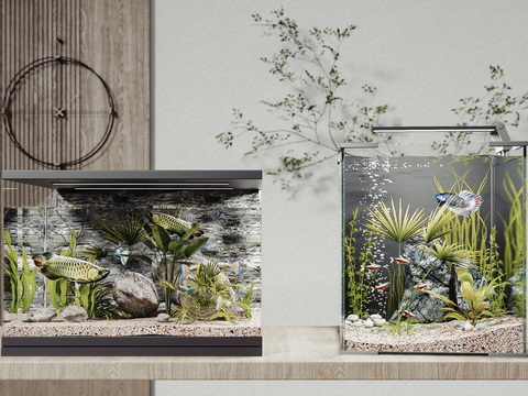 Modern fish tank