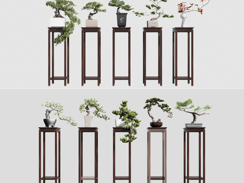 Chinese style flower stand potted plant pine and cypress