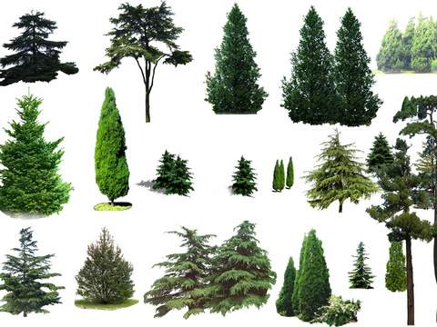 modern big tree landscape tree bushes psd