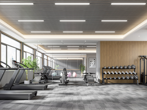 Modern Gym Yoga Studio