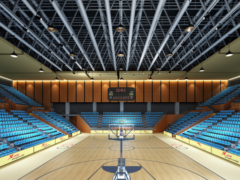 modern gymnasium basketball hall